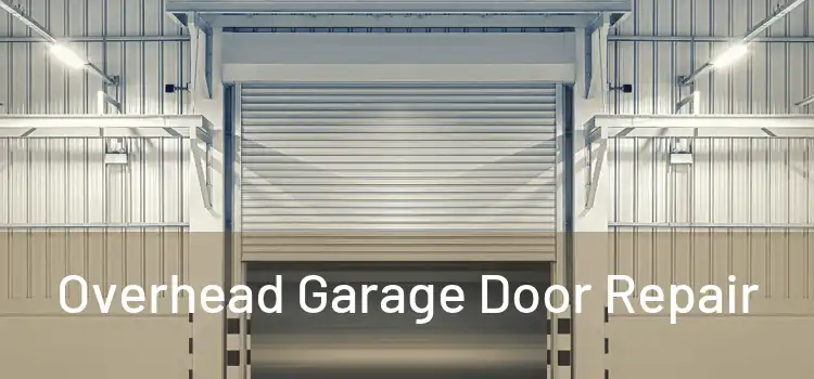  Overhead Garage Door Repair 